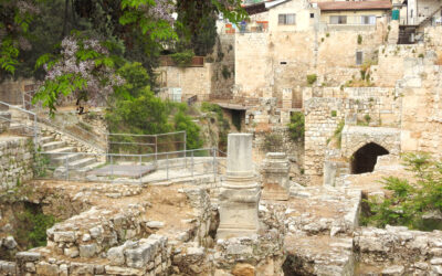 Visita alla Piscina probatica (Gerusalemme)